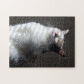 Puzzle Calico (Horizontal)
