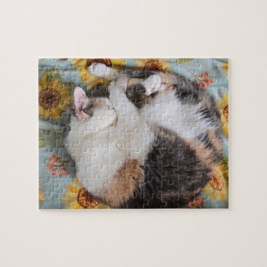 Puzzle Calico (Horizontal)