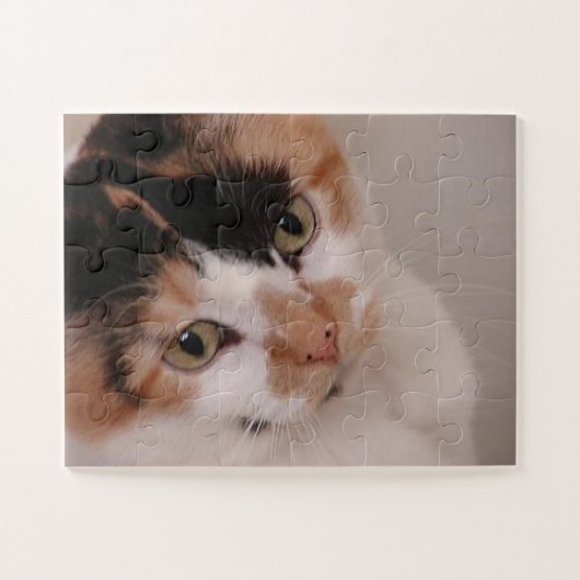Puzzle Calico Beauty Chat (Horizontal)