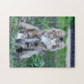 Puzzle Calico Cat (Horizontal)