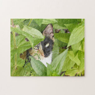 Puzzle Calico Cat dans les Zinnias