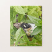 Puzzle Calico Cat dans les Zinnias (Vertical)