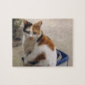 Puzzle Calico chat assis dans une boîte dans le jardin (Horizontal)