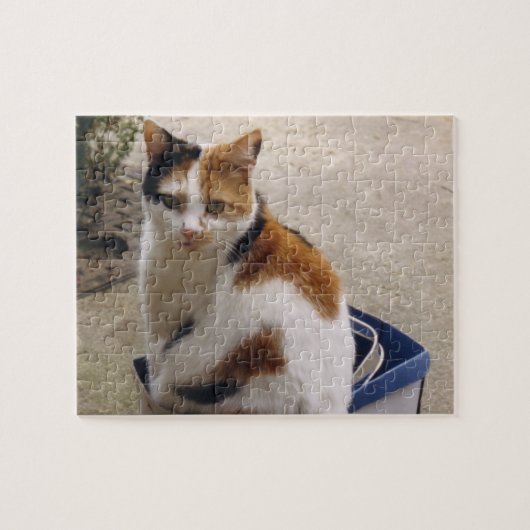 Puzzle Calico chat assis dans une boîte dans le jardin (Horizontal)
