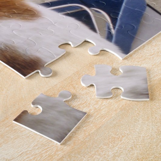 Puzzle Calico chat assis dans une boîte dans le jardin (Côté)