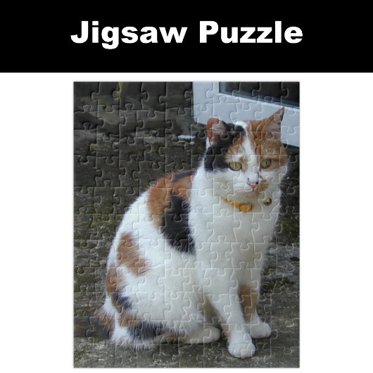 Puzzle Calico chat assis dehors