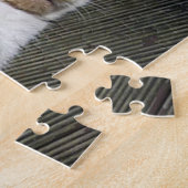 Puzzle Calico chat dormant dehors (Côté)