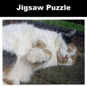 Puzzle Calico chat dormant dehors