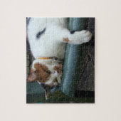 Puzzle Calico chat dormir (Vertical)