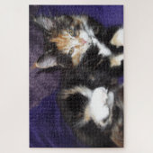 Puzzle Calico kitten sur photo couleur violet (Vertical)
