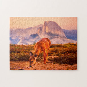 Puzzle California Deer.