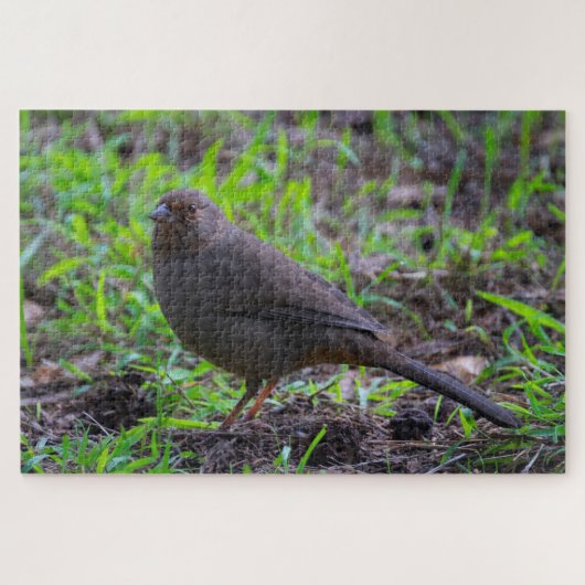Puzzle California Towhee (Horizontal)