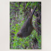 Puzzle California Towhee (Vertical)