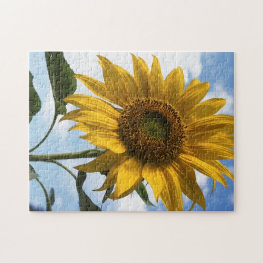Puzzle Californie, A Mammoth Sunflower (Helianthus) 4 (Horizontal)