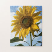 Puzzle Californie, A Mammoth Sunflower (Helianthus) 4 (Vertical)