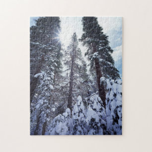 Puzzle Californie, Montagnes de la Sierra Nevada 9