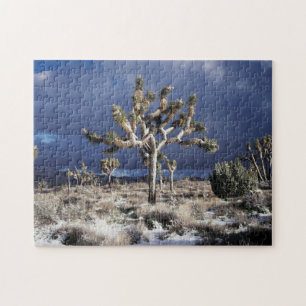Puzzle Californie, parc national de Joshua Tree