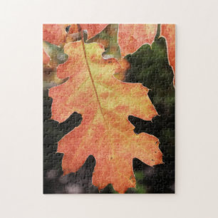Puzzle Californie, une feuille de chêne colorée en automn