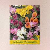 Puzzle Calla Lilies of Amsterdam