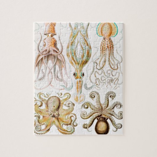 Puzzle Calmar de poulpe, Gamochonia par Ernst Haeckel (Vertical)