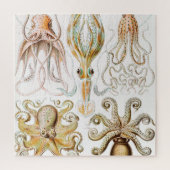 Puzzle Calmar de poulpe, Gamochonia par Ernst Haeckel (Vertical)
