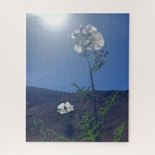Puzzle Calme matinal : Fleur de crème dans une lumière tr (Vertical)