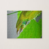 Puzzle Caméléon à cornes du géant 3 (Horizontal)