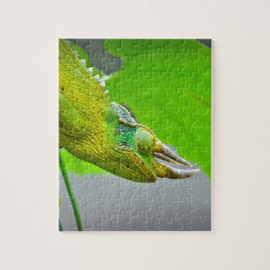 Puzzle Caméléon à cornes du géant 3 (Vertical)