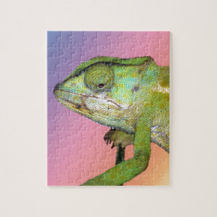 Puzzle Caméléon d'arc-en-ciel