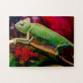 Puzzle Caméléon vert sur la branche (Horizontal)