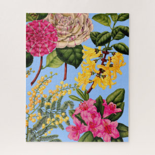 Puzzle camélia, forsythie, rhododendron et acacia