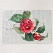 Puzzle Camélia panaché, Pierre-Joseph Redouté, 1833 (Horizontal)