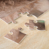 Puzzle Camels au marché Camel à Al Ain près de Dubaï (Côté)