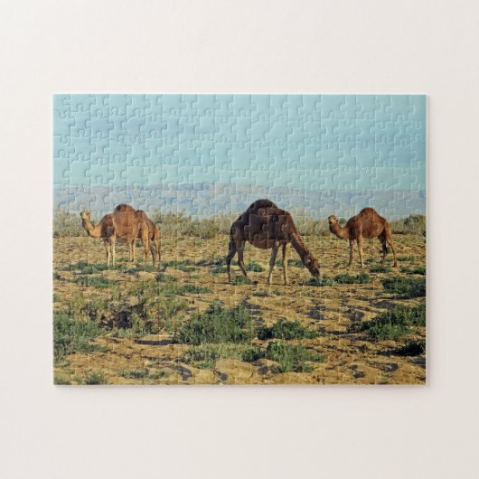 Puzzle Camels, Tunisie 252-pc (Horizontal)