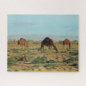 Puzzle Camels, Tunisie 520-pc (Horizontal)