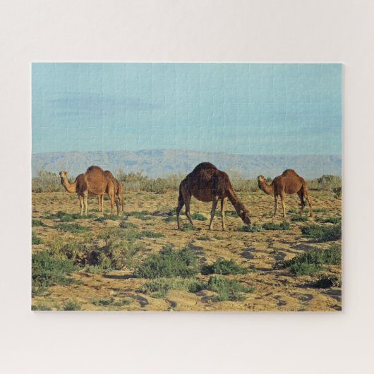 Puzzle Camels, Tunisie 520-pc (Horizontal)