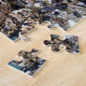 Puzzle Camoflouge Grenouille Toad Amphibian (Côté)