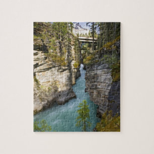 Puzzle Canada, Alberta, parc national de Jasper, Athabasc