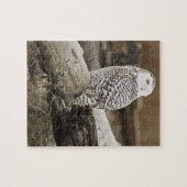 Puzzle Canada, Boundary Bay, Harfang des neiges (Horizontal)