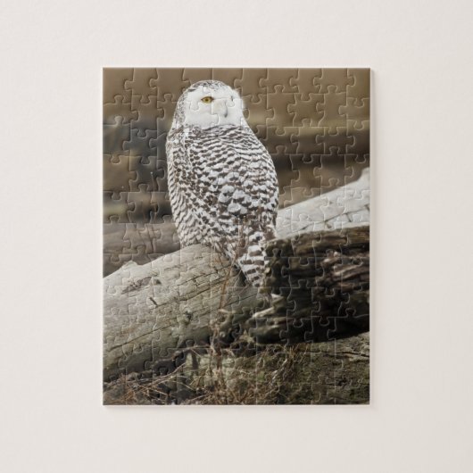 Puzzle Canada, Boundary Bay, Harfang des neiges (Vertical)