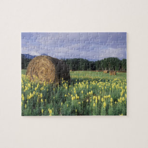 Puzzle Canada, Colombie-Britannique, Kitwanga.Jaune