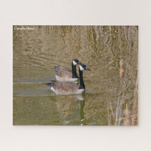 Puzzle Canada Goose (Horizontal)