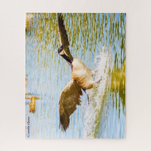 Puzzle Canada Goose (Vertical)