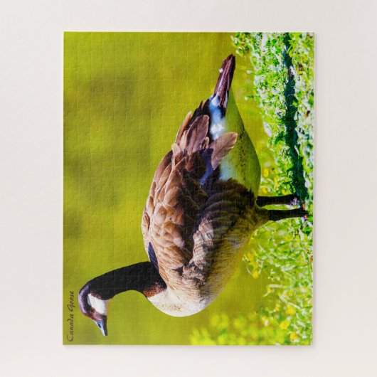 Puzzle Canada Goose (Vertical)