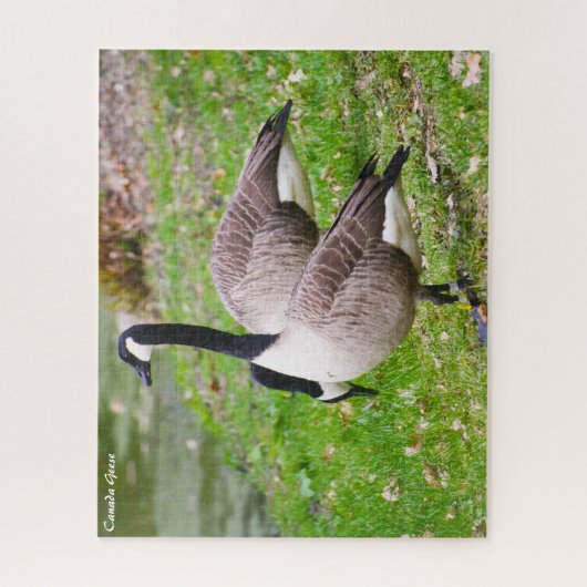 Puzzle Canada Goose (Vertical)