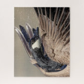 Puzzle Canada Goose (Vertical)