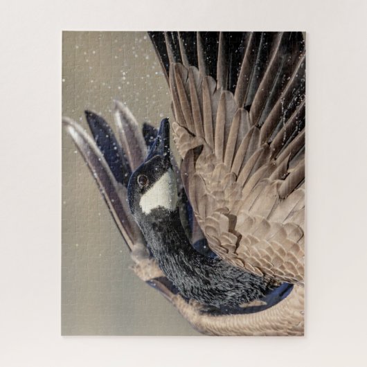 Puzzle Canada Goose (Vertical)