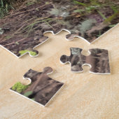 Puzzle Canada Lynx Challenging Nature Lover (Côté)