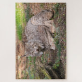 Puzzle Canada Lynx Challenging Nature Lover (Vertical)