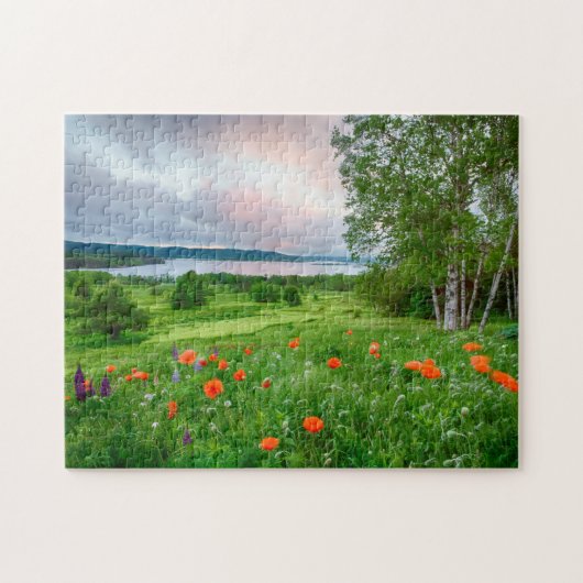 Puzzle Canada, Nouveau-Brunswick, ,  3 (Horizontal)